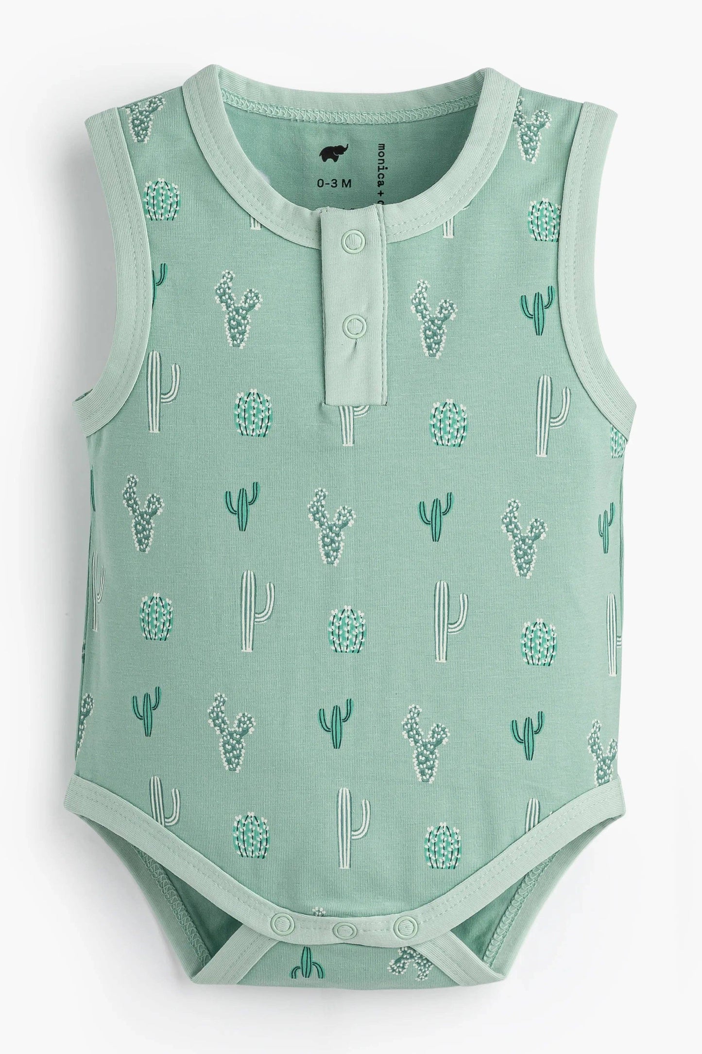 Green Cactus 3-Piece Set
