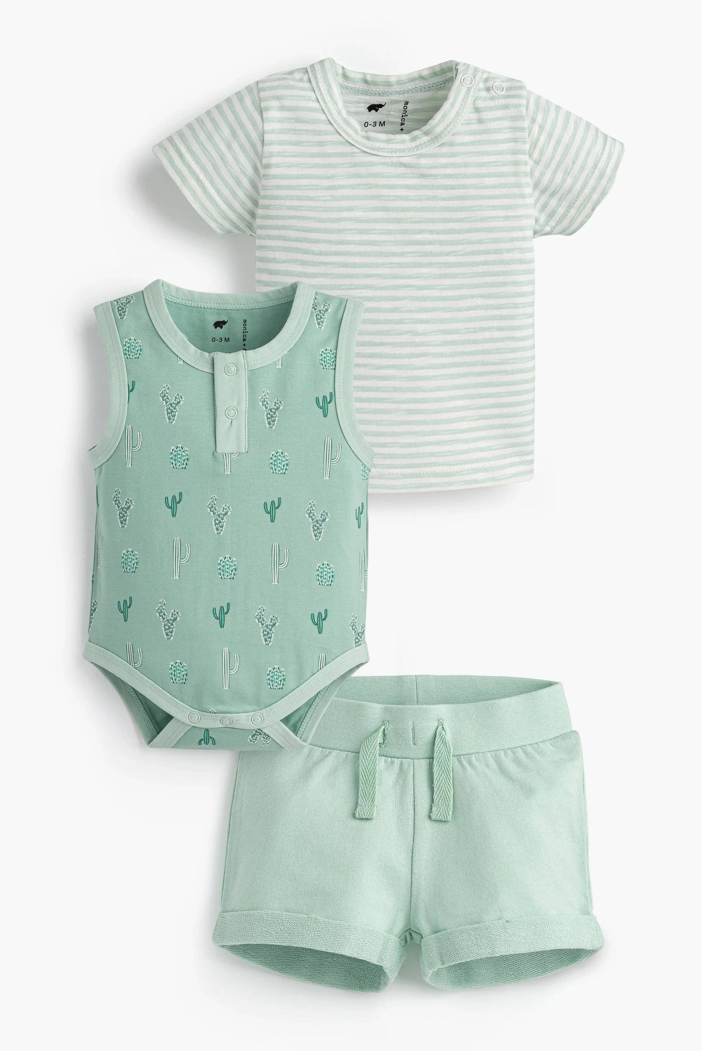 Green Cactus 3-Piece Set