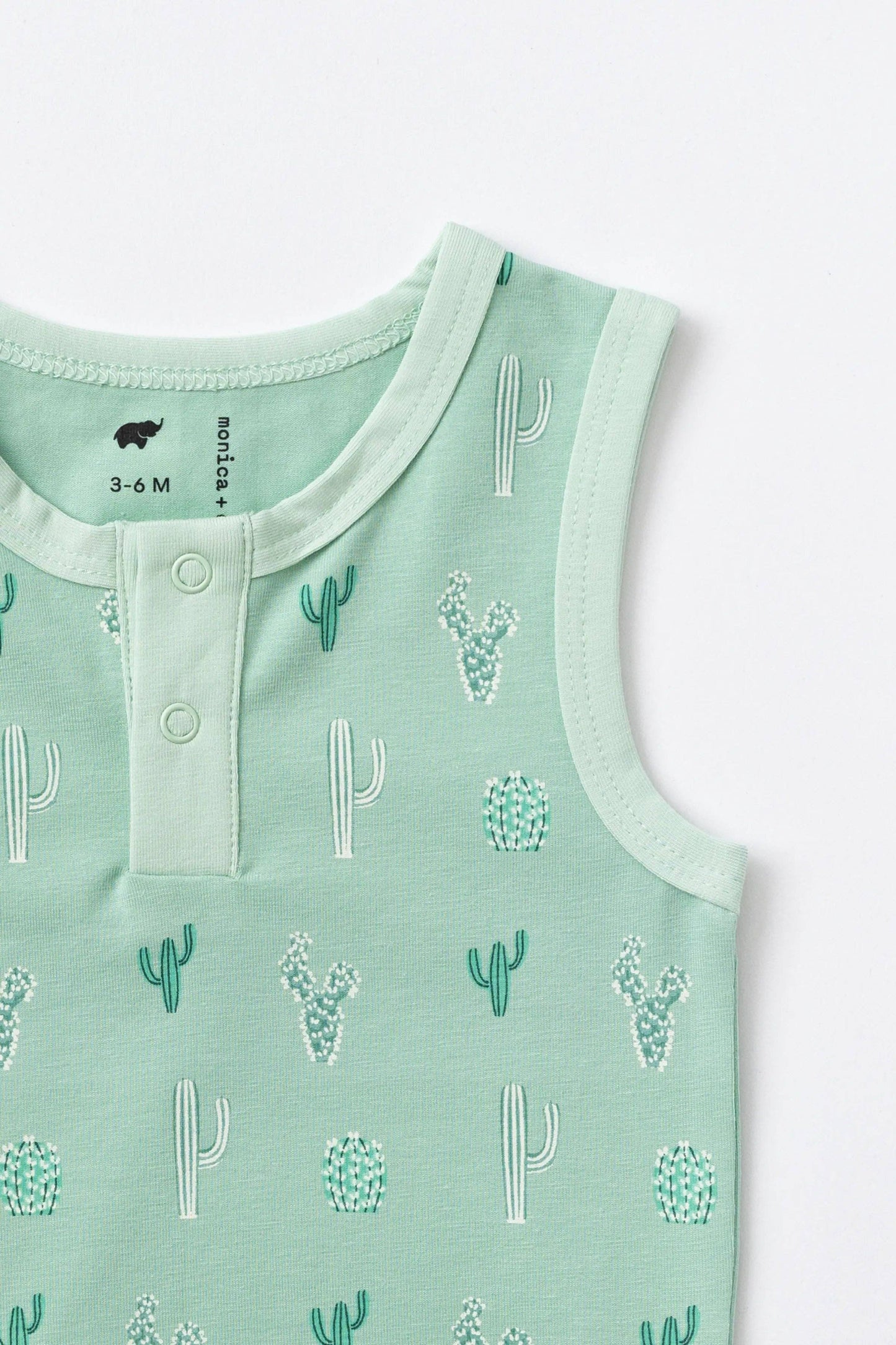 Green Cactus 3-Piece Set