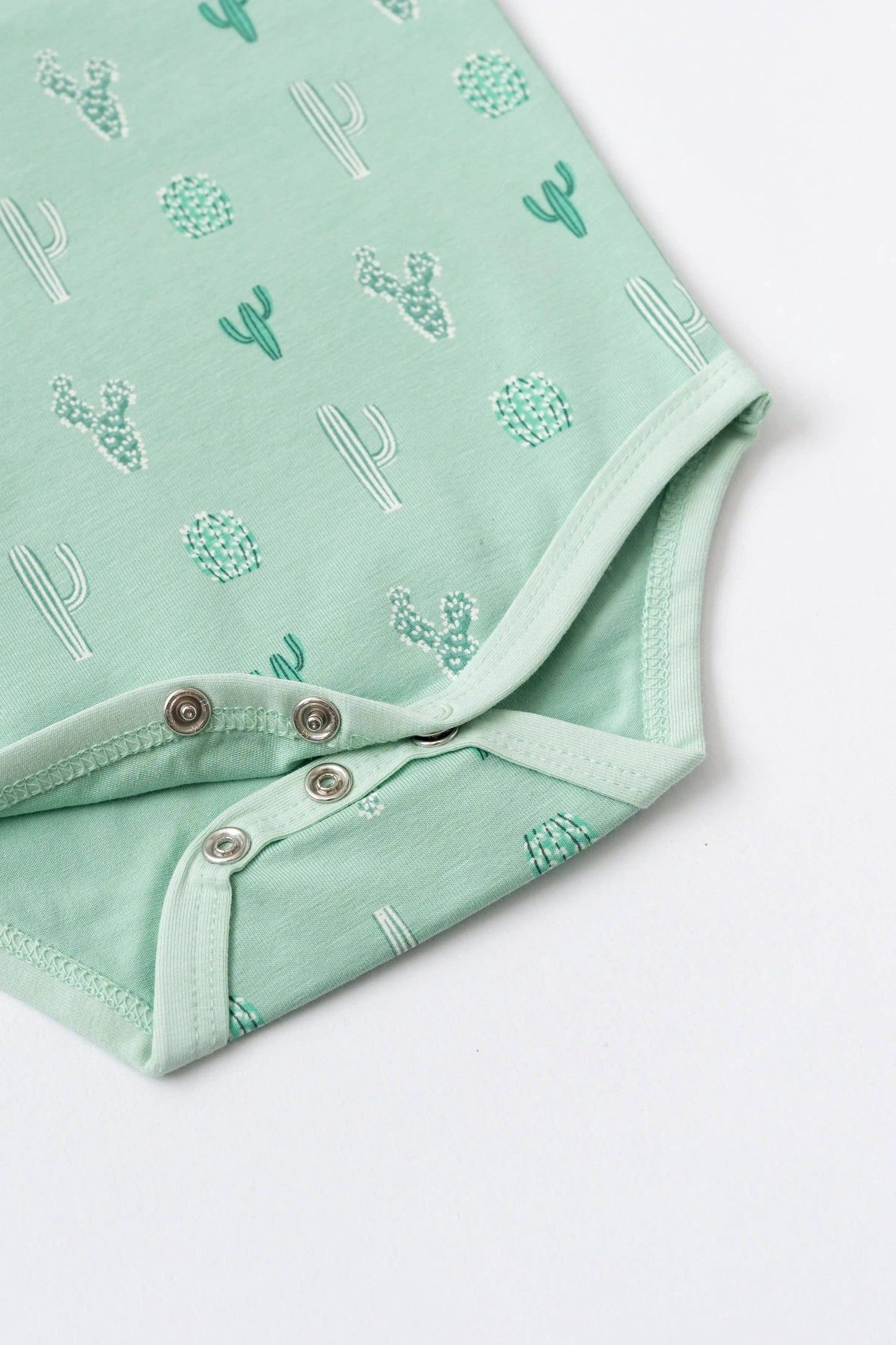Green Cactus 3-Piece Set