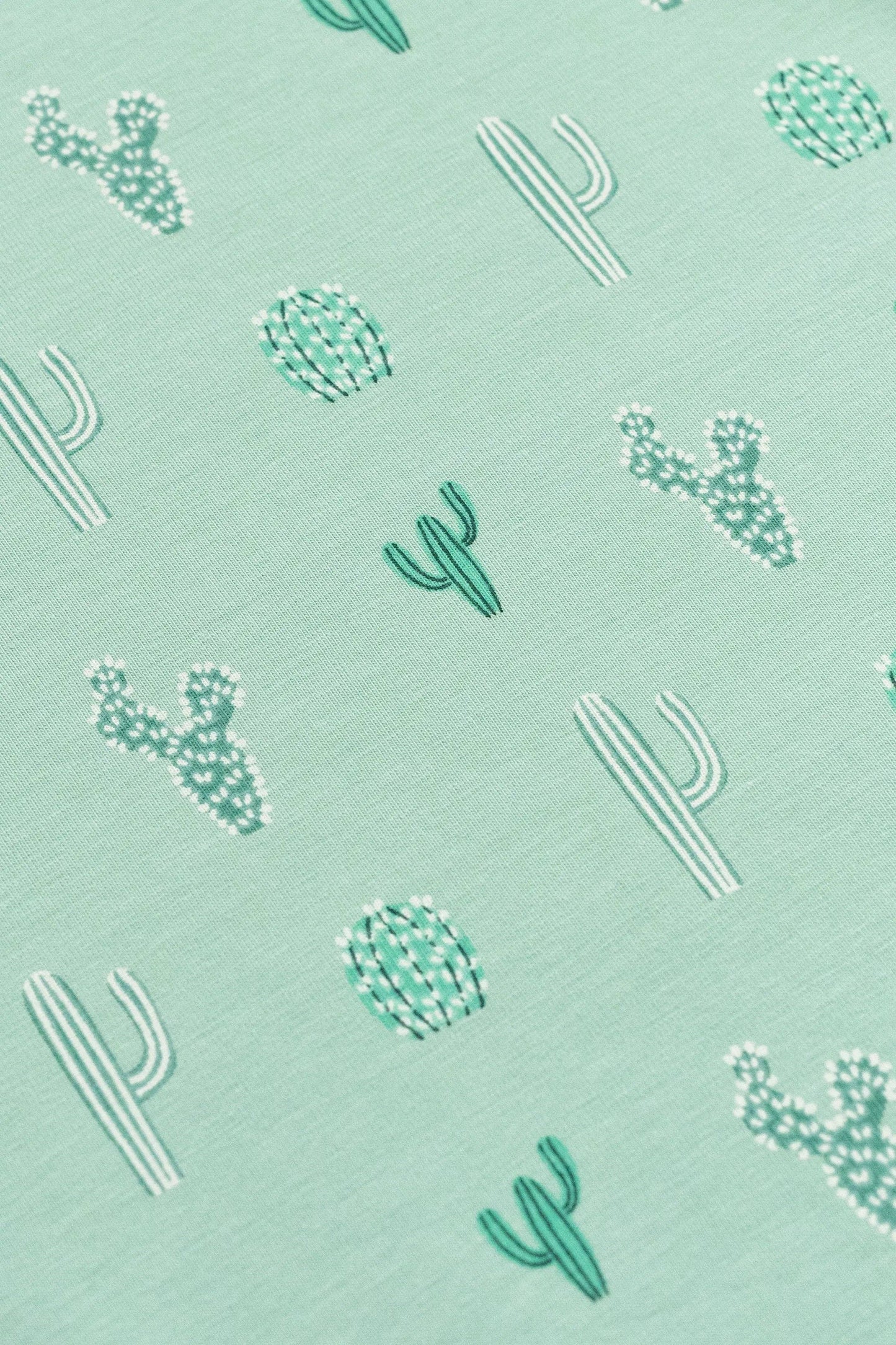 Green Cactus 3-Piece Set