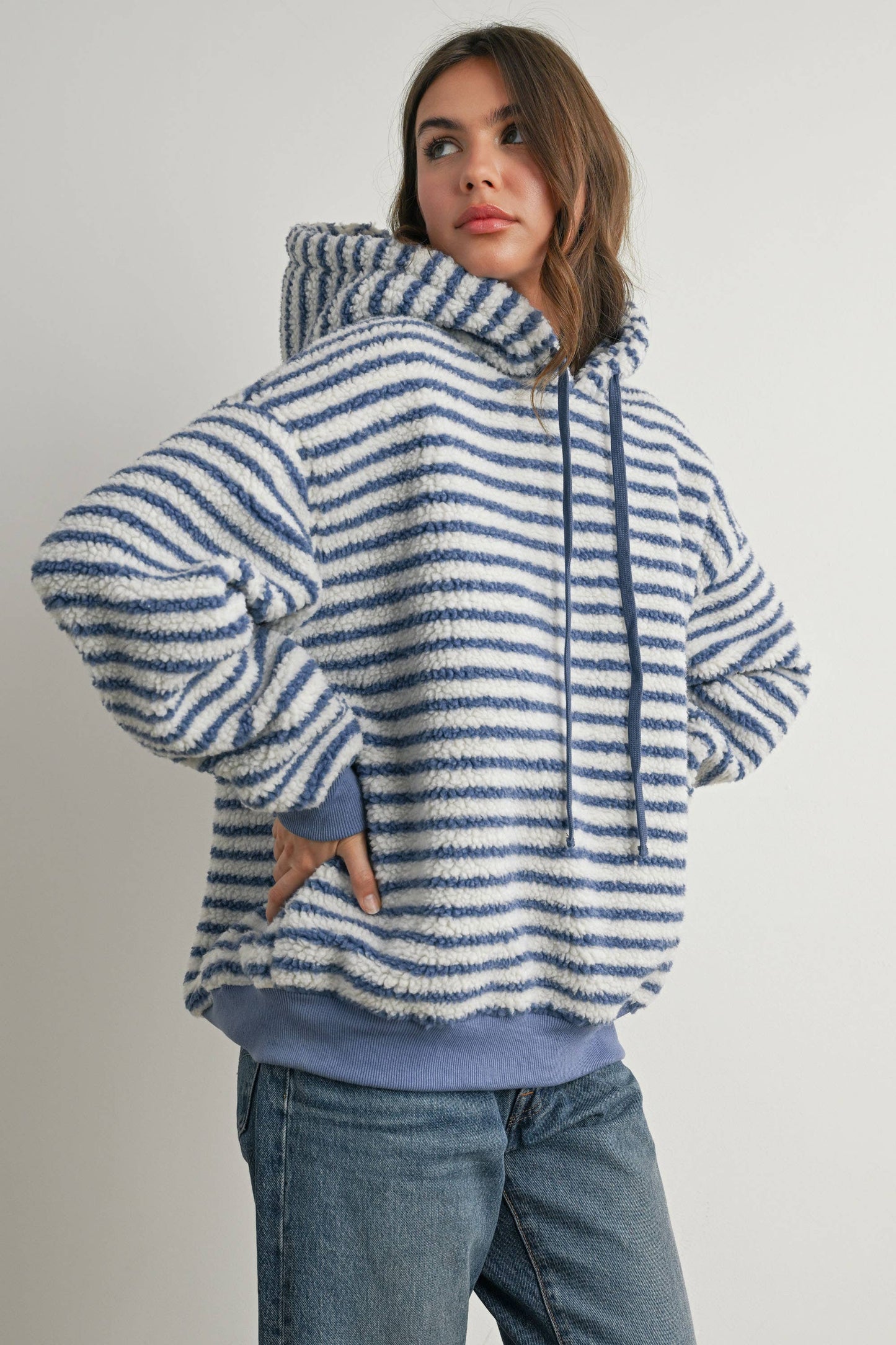 Brushed Striped Puffy Hoodie