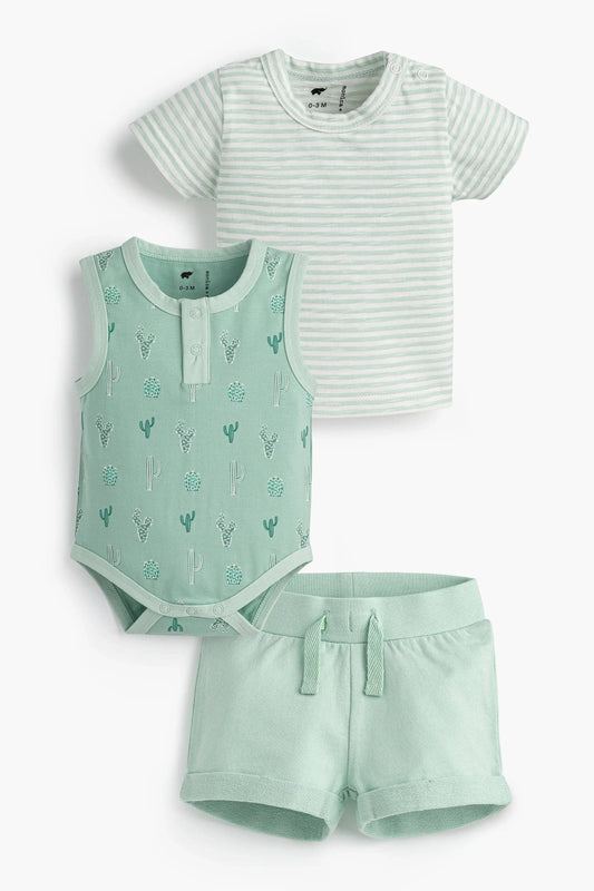 Green Cactus 3-Piece Set