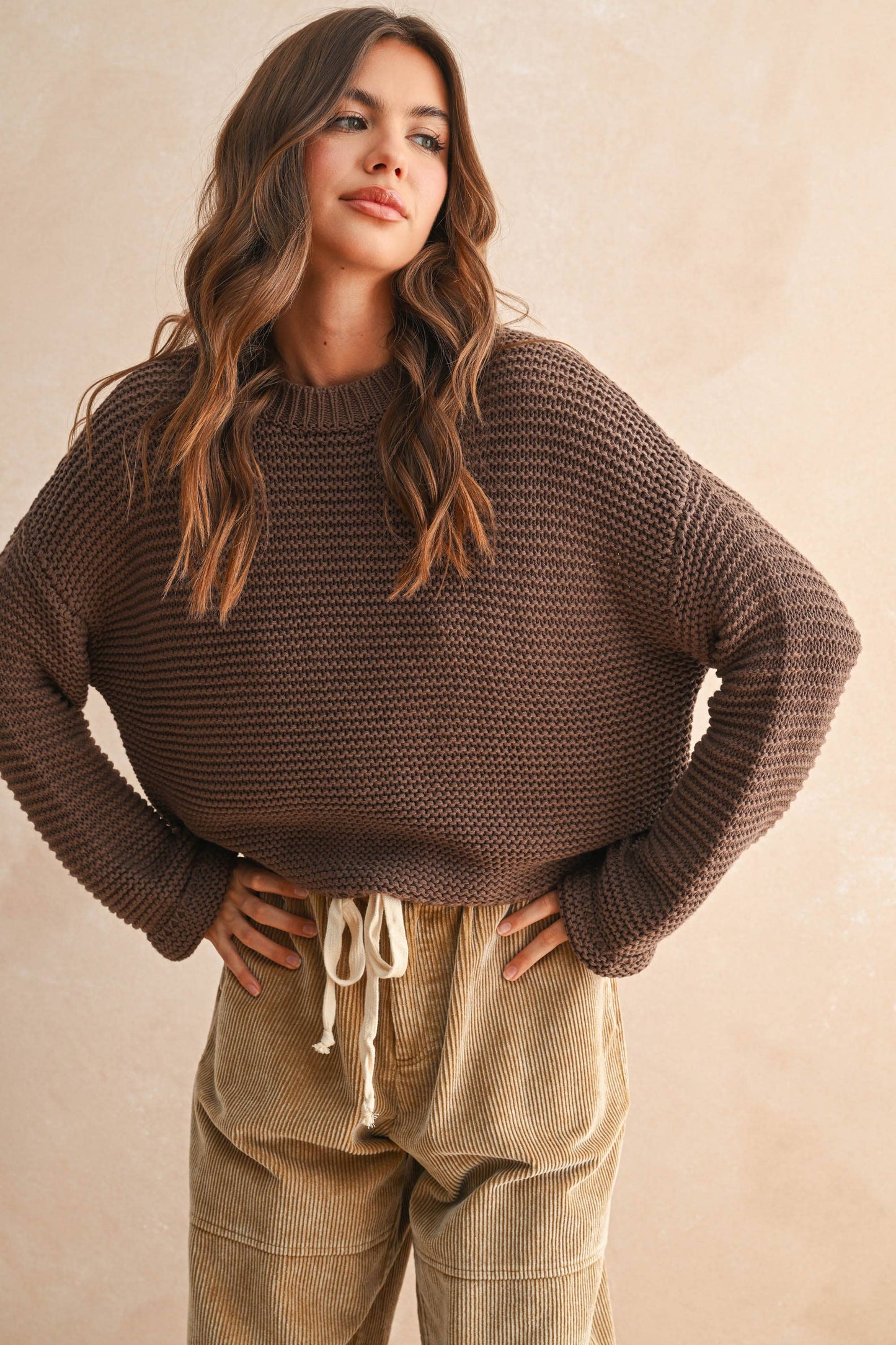 Chocolate Knit Sweater