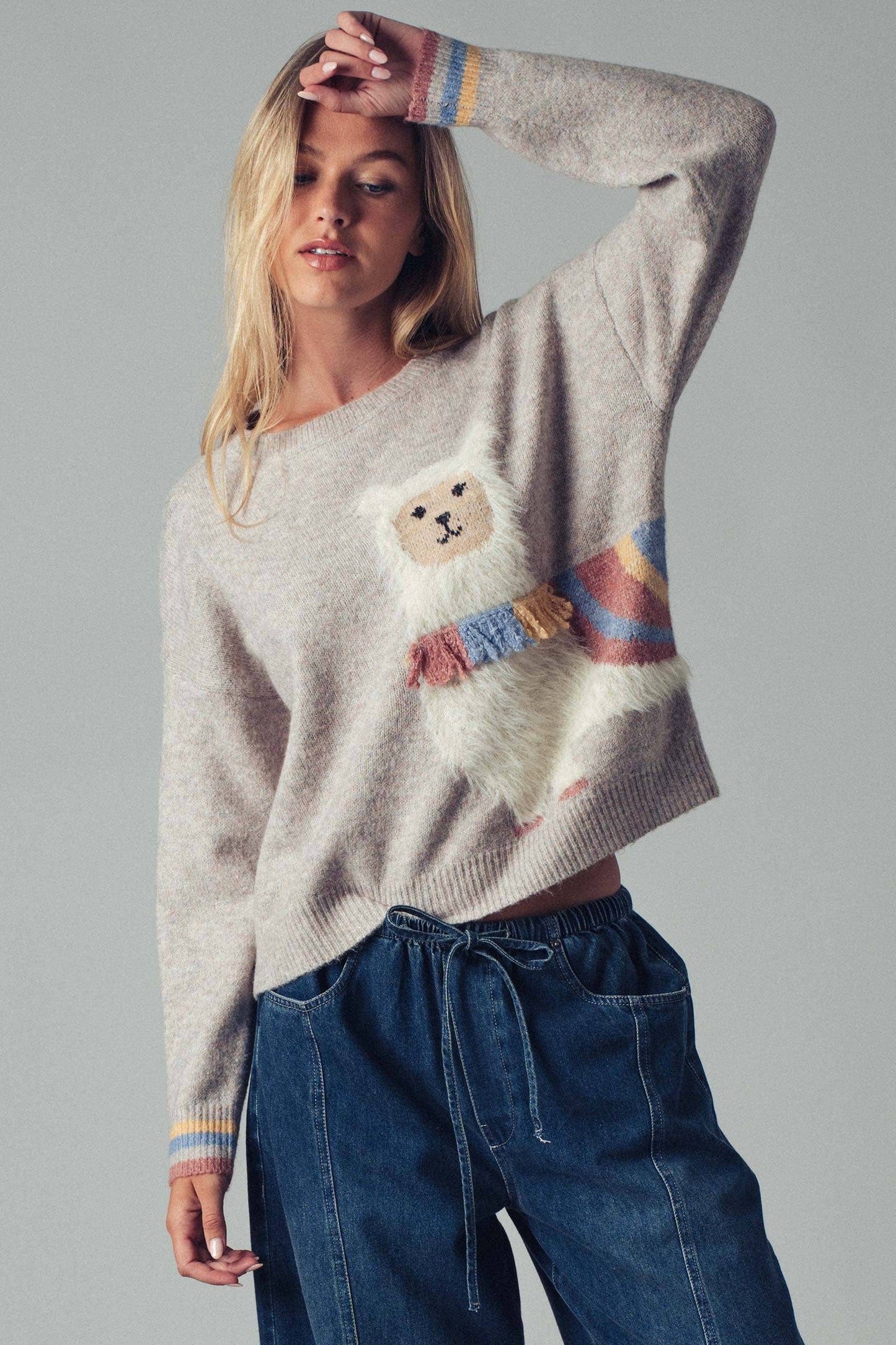 Alpaca Embroidered Knit Sweater
