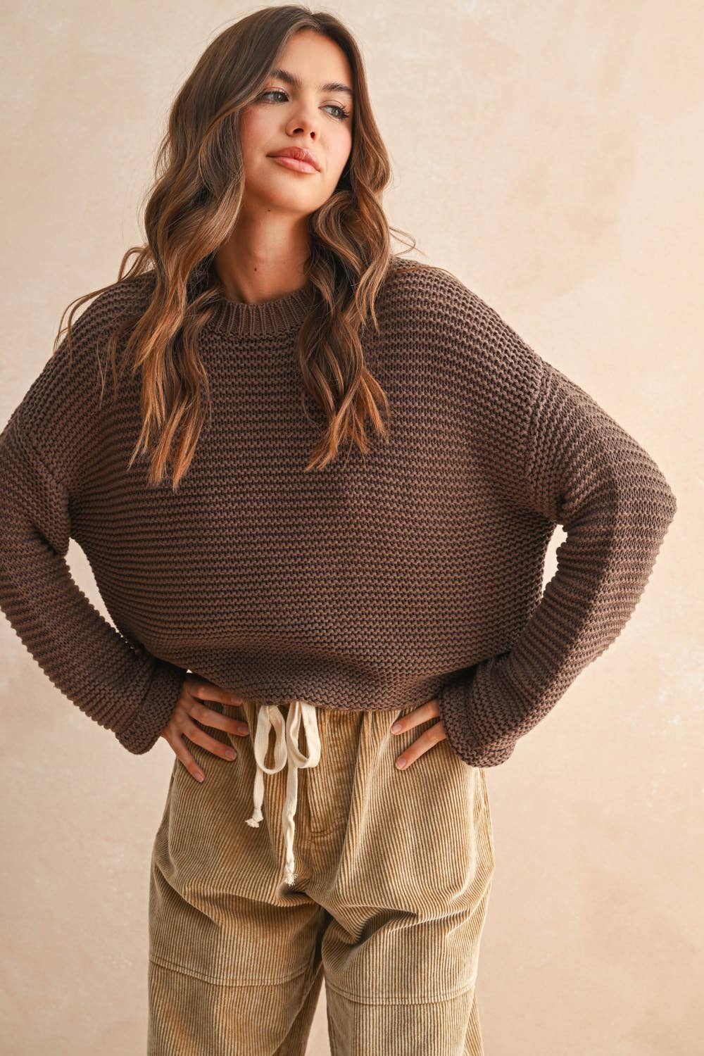Chocolate Knit Sweater