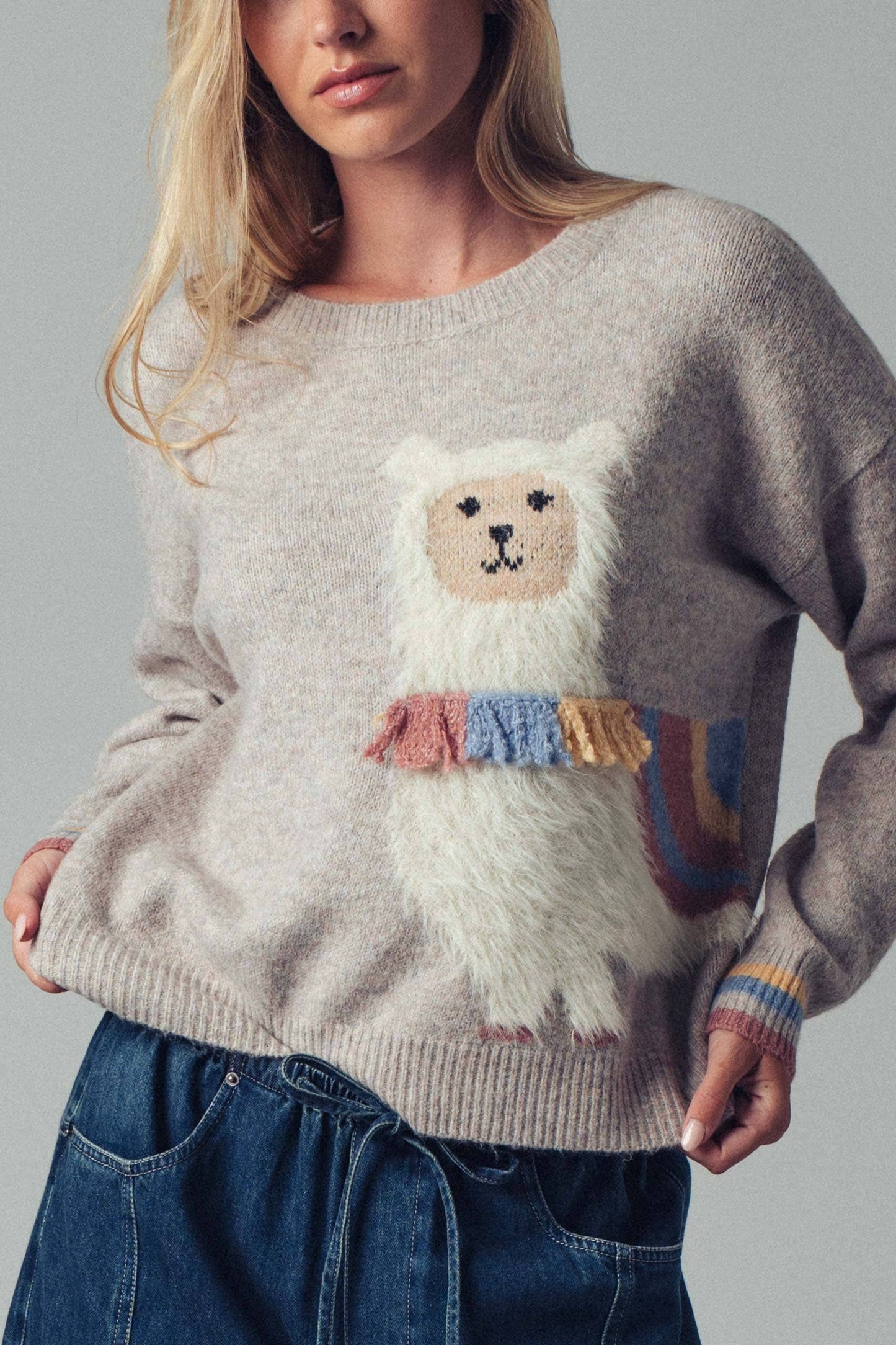 Alpaca Embroidered Knit Sweater