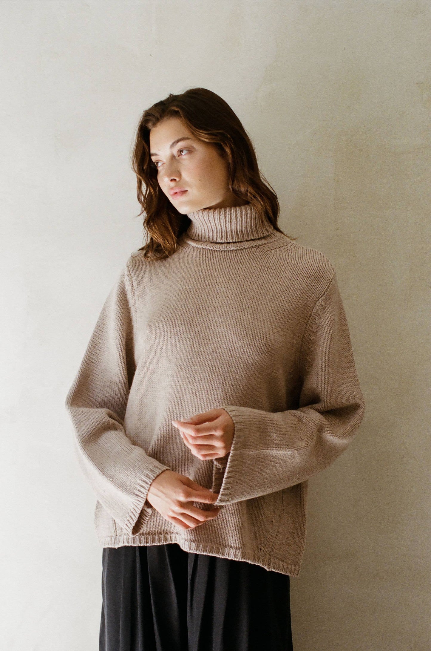 Cashmere Wool Turtleneck