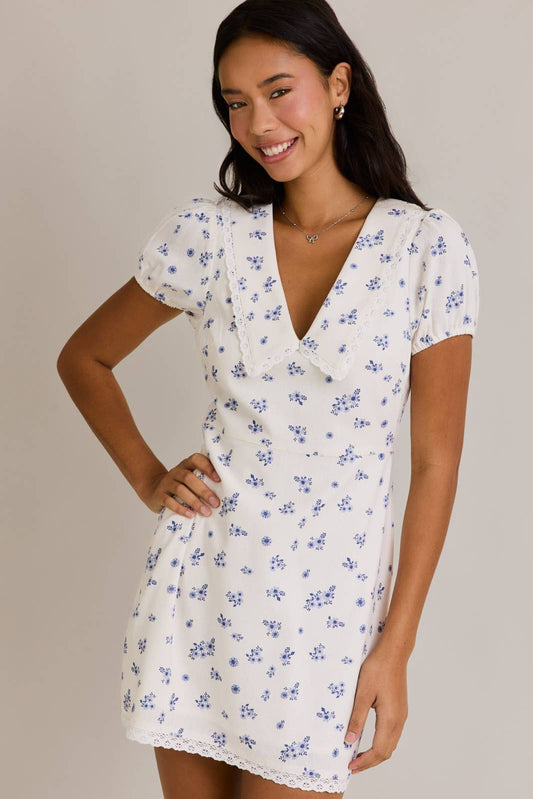 Blue Floral Collared Dress