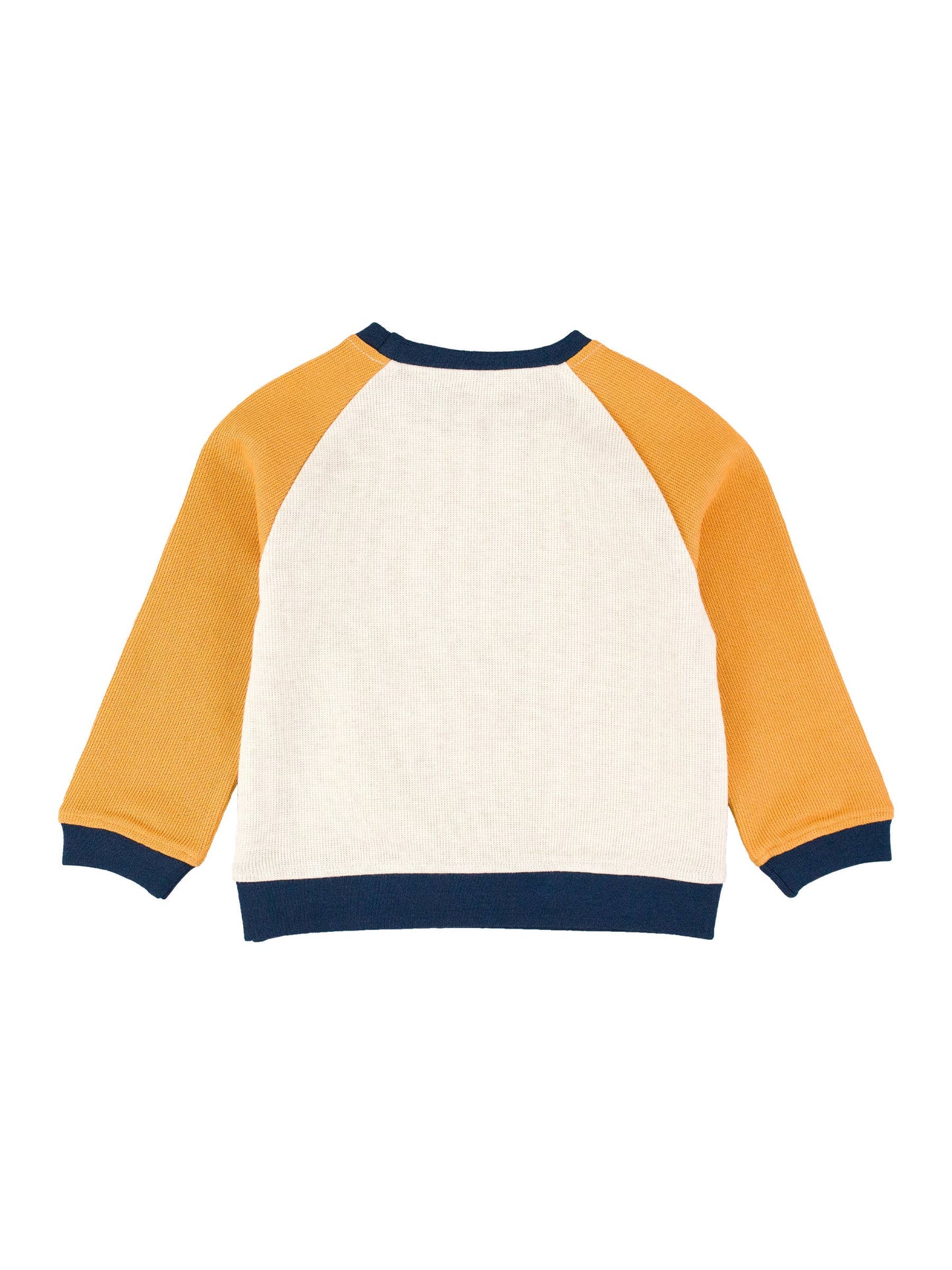 Kids Raglan Sweatshirt