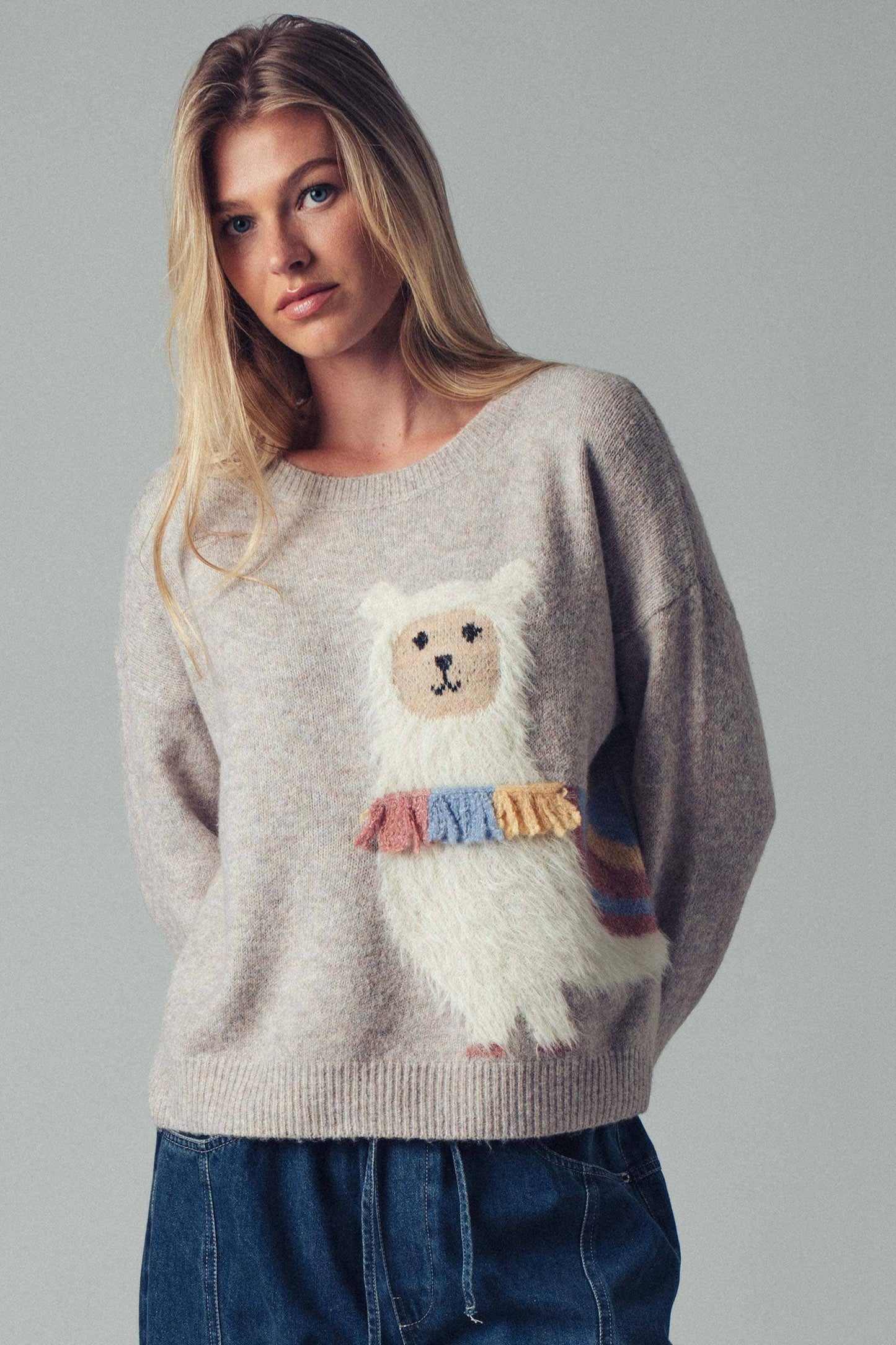Alpaca Embroidered Knit Sweater