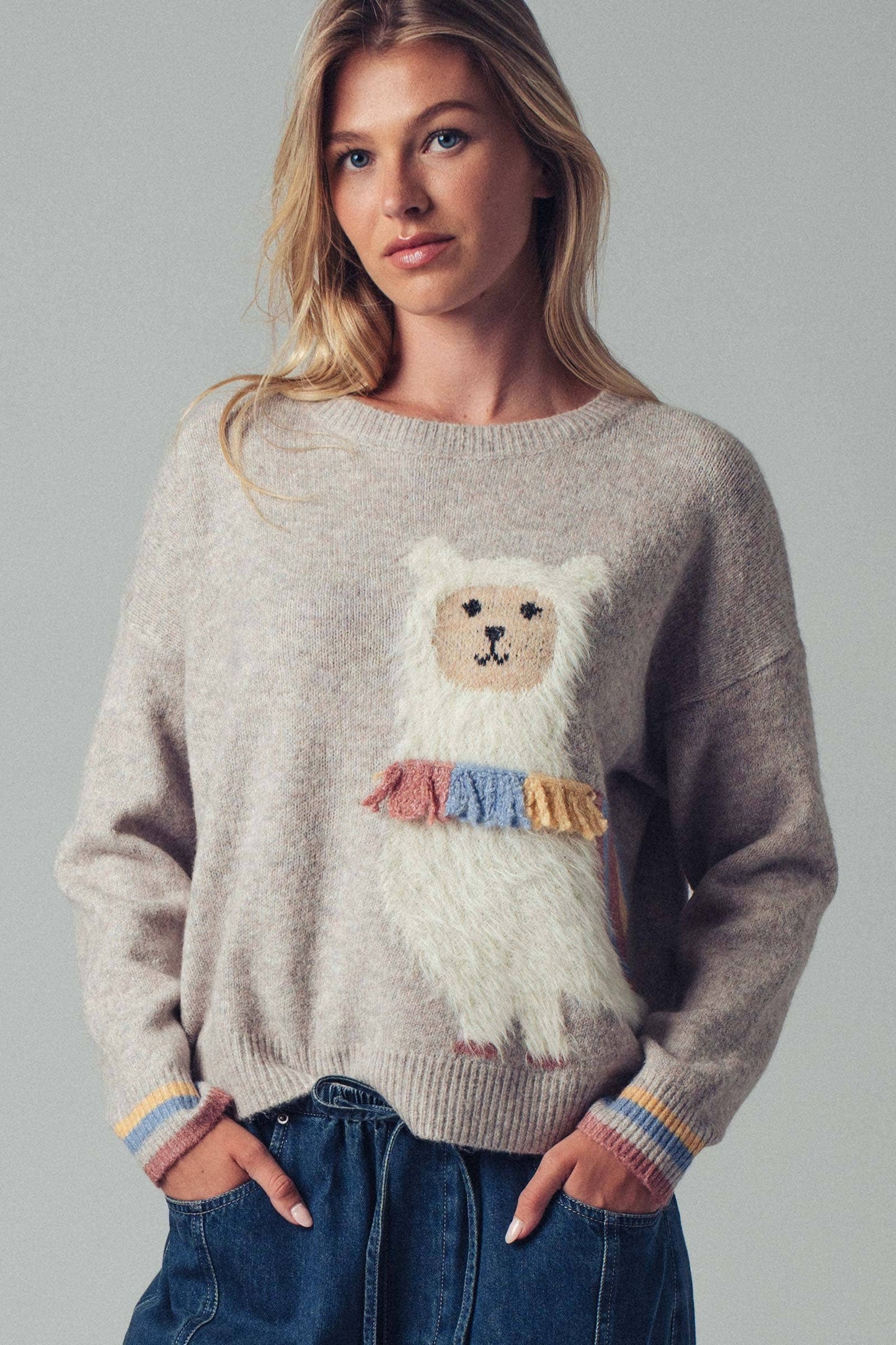 Alpaca Embroidered Knit Sweater